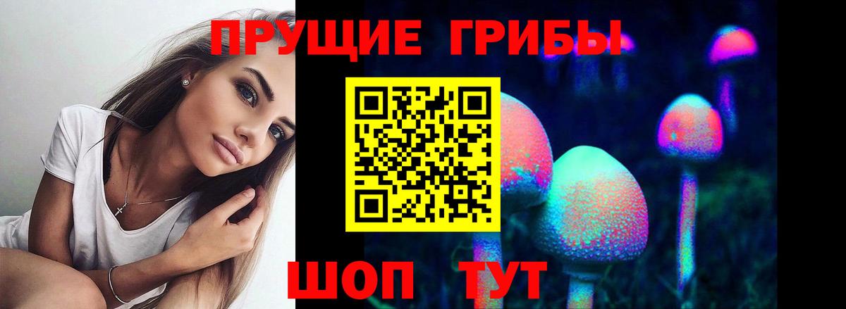 Октябрьский  Галлюциногенные грибы MAGIC MUSHROOMS  Псилоцибиновые грибы GOLDEN TEACHER  Вход с VPN 